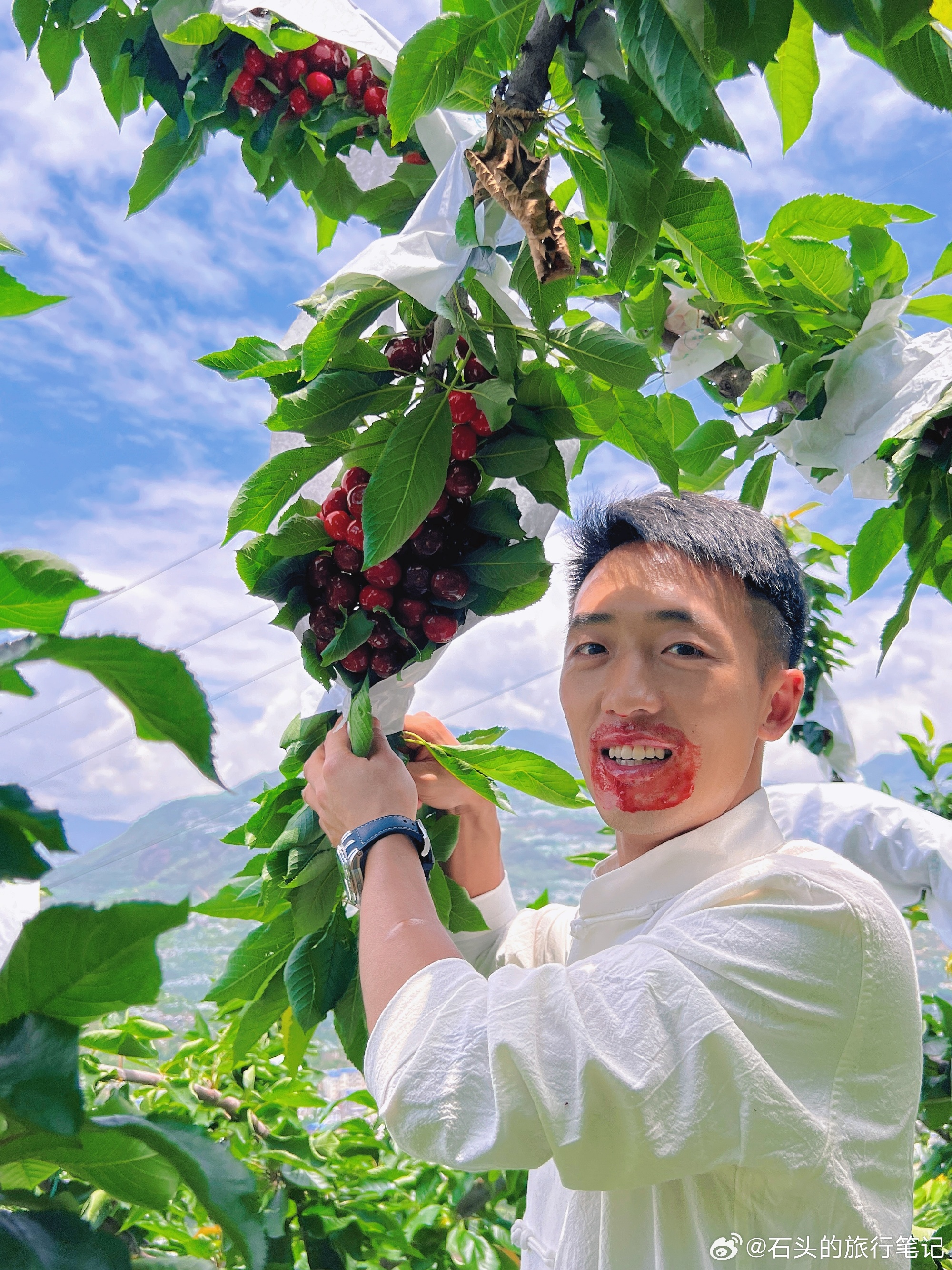 公司简介